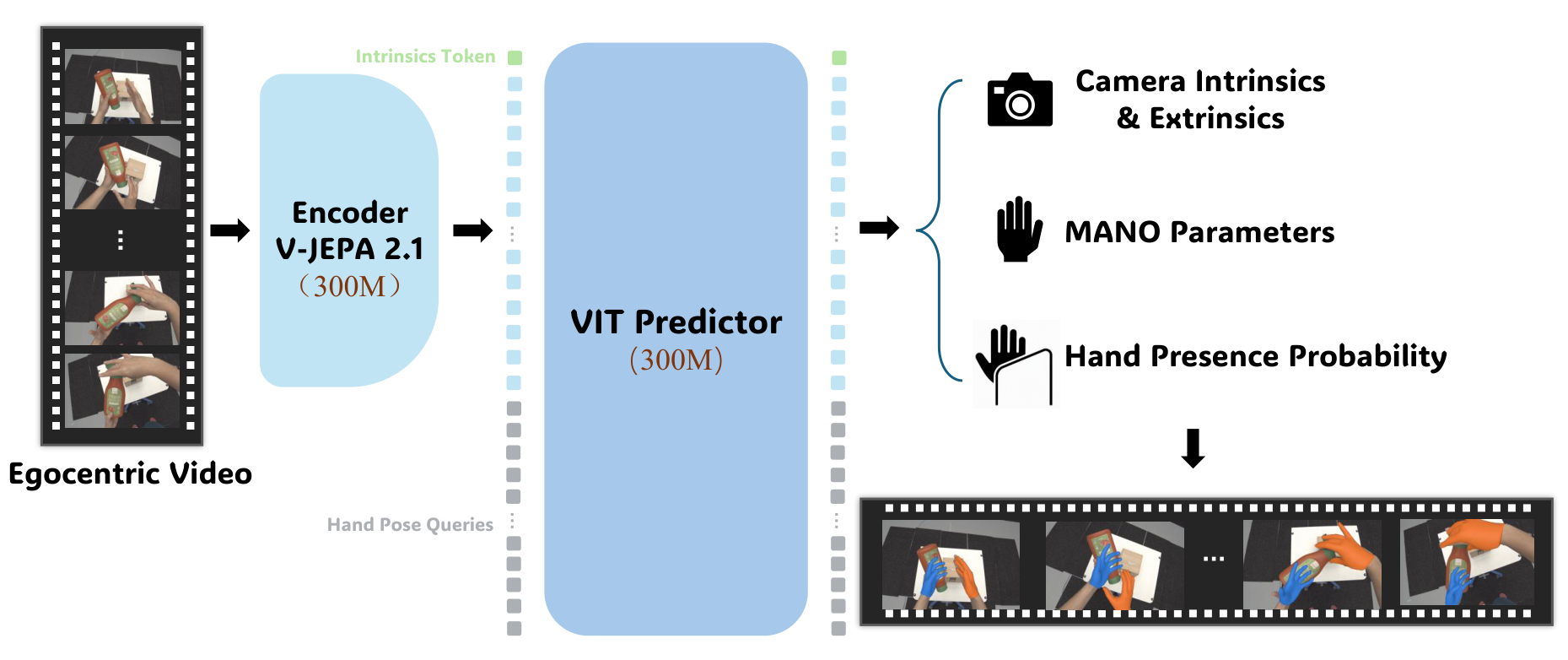 V-JEPA Hand architecture: a V-JEPA 2.1 encoder processes an egocentric video clip; a ViT predictor combines its features with per-frame hand-pose queries and an intrinsics token to predict bilateral hand pose, hand presence, camera motion, and focal lengths.
